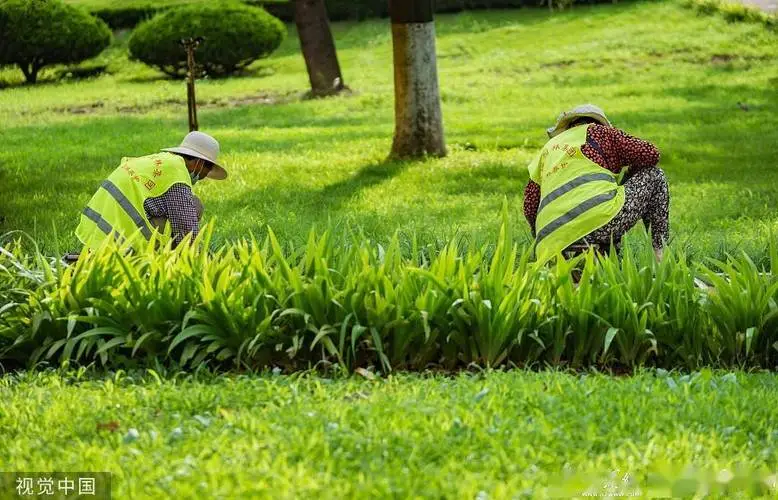 室外景观级绿化工程概括