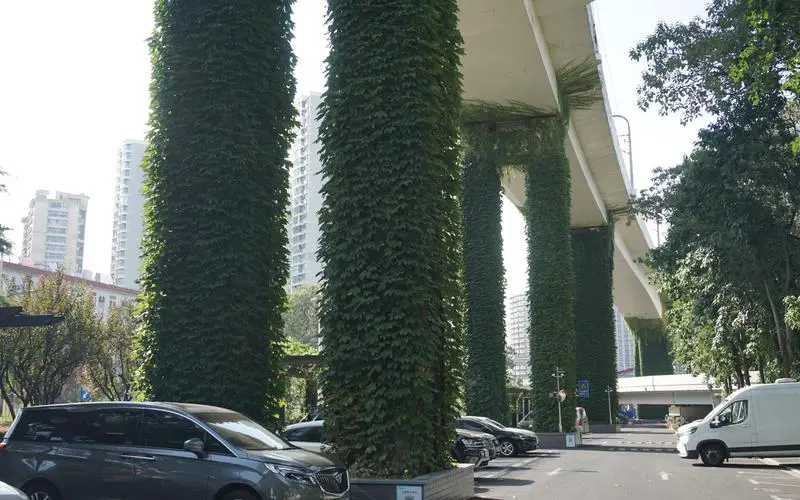 园林管理管家喊话：建筑工地对周边绿地的破坏已失控！
