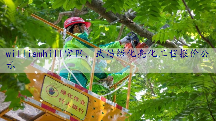 武昌绿化亮化工程报价公示