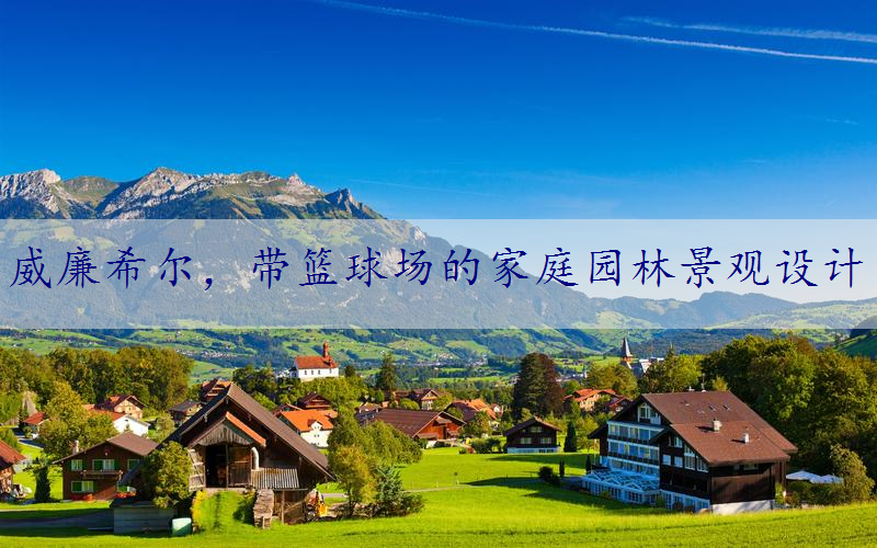 带篮球场的家庭园林景观设计