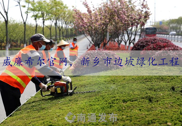 新乡市边坡绿化工程