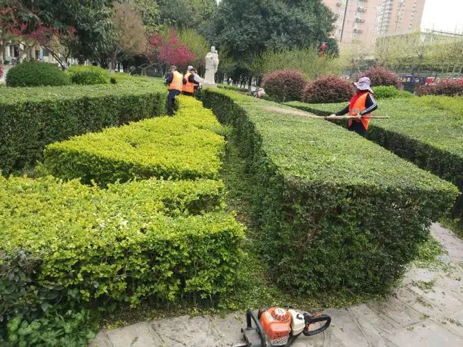 绿化工程总包分包合同范本